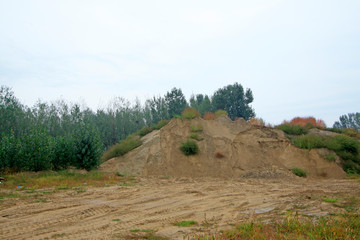 Soil and vegetation in the wild