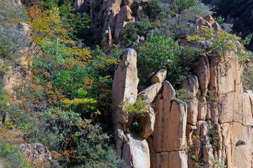 Mountain natural scenery