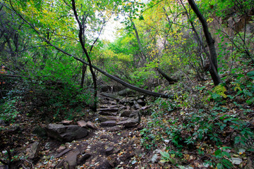 Mountain natural scenery