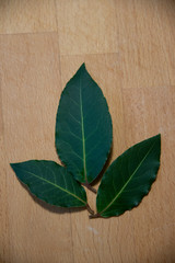 composition from laurel leaves