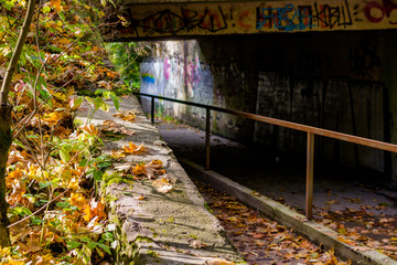 Fototapeta premium View of the tunnel under the road covered with autumn foliage 