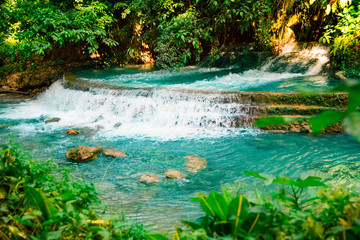 Obraz na płótnie Canvas Kawasan waterfall in a mountain gorge in the tropical jungle of the Philippines, Cebu.