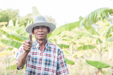 The senior farmer smiling and standing in banana garden ready to harvest agriculture