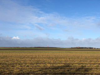 Landscape from Texel island