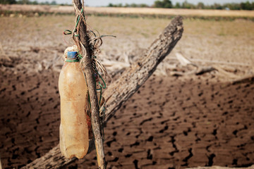 Old of bottle on wooden.