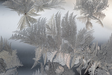 Icicle blooms on Window Panel