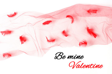 Postcard with the words Be mine Valentine in italic. feathers and veil on a white background. flat lay, top view, minimal concept