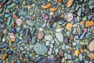 Rounded pebbles of different colours deposited on the bank of River Lidder in Kashmir