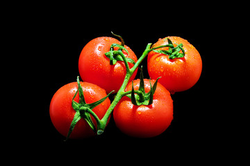 Group of tomatoes in water drops on black background