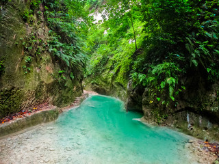 River in a mountain gorge in the tropical jungle of the Philippines.