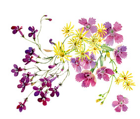 A small bouquet of watercolor flowers on a white background