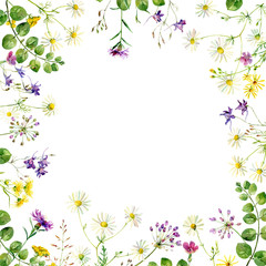 Fototapeta premium Watercolor frame of wild flowers and herbs on a white background. For greetings and invitations