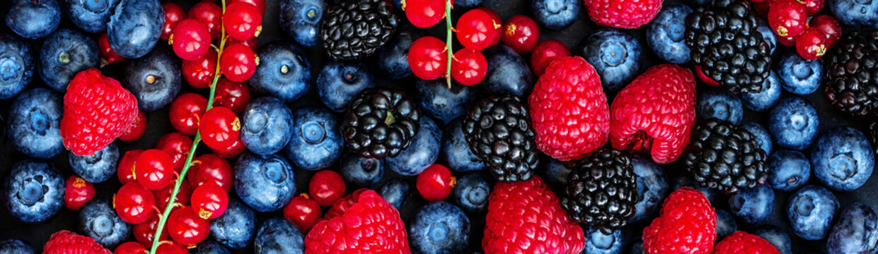 Fototapeta Various fresh summer berries Background. Panorama. Top view. Strawberry, Raspberry, Red currant,  Blueberry and Blackberry