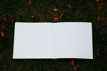blank card with grass