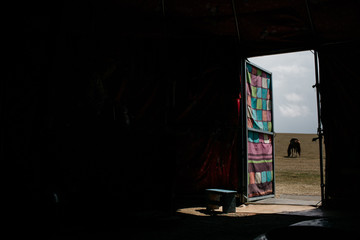 horse through the door of a yurt