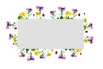 Watercolor rectangular frame of wild flowers on a white background. For greetings and invitations