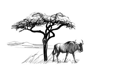 Wildebeest near a tree in africa. Hand drawn illustration