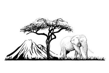 Elephant near a tree on mount background. Hand drawn illustration. Collection of hand drawn illustrations (originals, no tracing)
