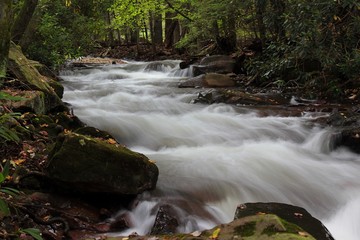 waterfall in the forest