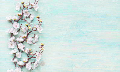 Obraz na płótnie Canvas White flowers on blue wooden background