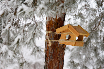 Wooden bird feeder in a pine park in winter