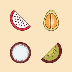 Vector Set of colorful cartoon pieces of fruits icon ( pomelo, dragon fruit, pitaya, kiwi )