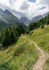 Path towards mountains.