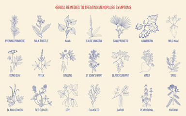 Best herbs for menopause symptom treatment - obrazy, fototapety, plakaty