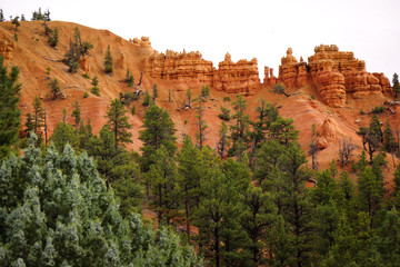 Red Rock Pillars Utah USA