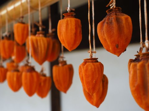 Dried persimmon called Hoshikaki in Japanese