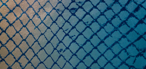 Fototapeta premium snake skin