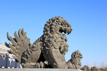 Fototapeta premium giant lion sculptures under blue sky, tangshan city, China