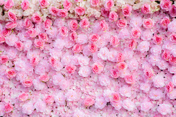 Pink roses background  / Pink roses wallpaper