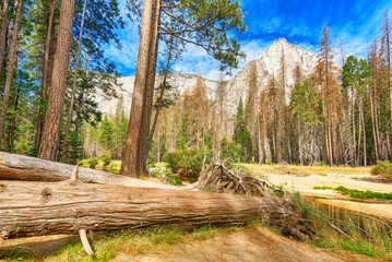 Yosemite Valley. Magnificent national American natural park - Yosemite.