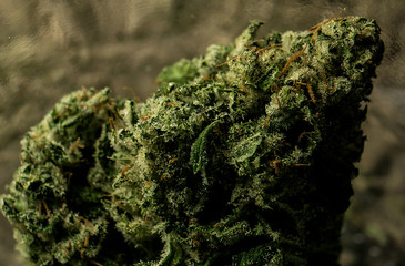 Grand Funk OG Cured Cannabis Bud Top