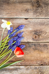 Spring flowers over wooden background
