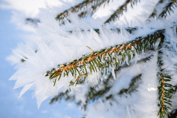 Winter Eiskristalle und Frost