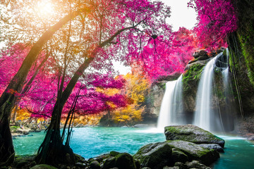 Incroyable dans la nature, belle cascade dans la forêt d& 39 automne colorée en automne
