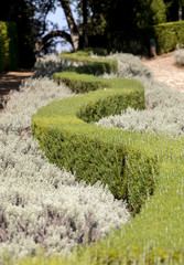 Obraz premium the gardens of the Jardins de Marqueyssac in the Dordogne region of France