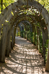 Plant Tunnel in  the gardens of the Jardins de Marqueyssac in the Dordogne region of France