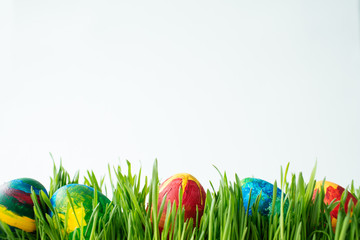 Easter eggs in green grass on a white background