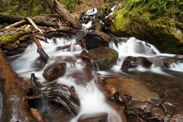 Starvation Creek Falls at Columbia River Gorge in Oregon