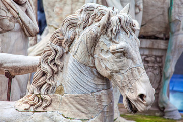 Details of horse sculpture from Capitoline Hill in Rome