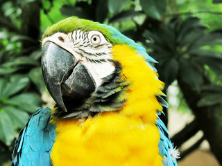 Parque das aves