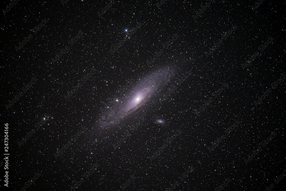 Wall mural m31 the andromeda galaxy
