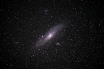 Obraz na płótnie Canvas M31 The Andromeda Galaxy
