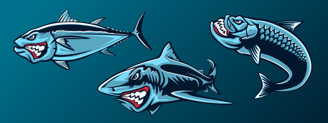 Fishing set of angry tuna, shark and piranha. Fishing emblem of ocean fish. Big eye tuna. Angry fishing club logotype. Dangerous fish.