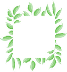 Green leaves frame design. Design for logo, greeting card, wedding invitation. Vector illustration