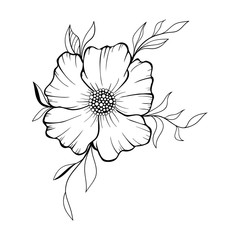 Hand drawn floral doodle background. Decorative flower for your design. Can be used for coloring page. Ideas for tattoo.