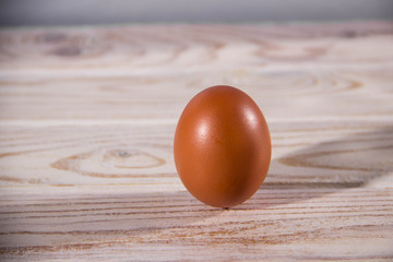 One brown chicken egg on a light background